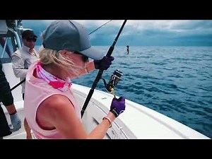 Simrad NSX | Chartplotter y sonda inteligentes