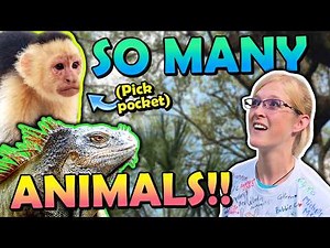 Exotic Animals, Q&A, Scavenger Hunts, and More! (ReptiCruise Part 2)