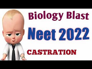 castration cryptorchidism vasectomy #castration human reproduction