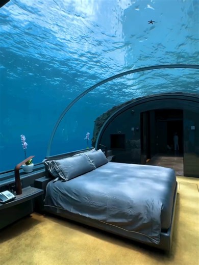 We provide maldives vacation for you & we make sure you get the best deals! #maldivesresort #maldivestiktok #capitaltravel #capitaltravelmaldives #resort #resorts #hotelsandresorts #ecoluxury #sustainability #fyp #travel #traveltiktoktravel #experiences #tropicalvibes #escape #family #romance