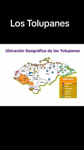 ¿Sabías que? 10 cosas acerca los Tolupanes 📌 Los grupos étnicos de Honduras, Son pueblos que comparten características y costumbres que los distinguen del resto de la sociedad. 1. En la Montaña de la Flor es el Hogar de los Tolupanes. 2. Los tolupanes se encuentran en los departamentos de Yoro y el norte de Francisco Morazán. 3. El nombre propio de los tolupanes es Tolupán. También les llaman Jicaques, pero en su lenguaje esta palabra significa no civilizado. 4. Su lengua o dialecto es el Tol. 