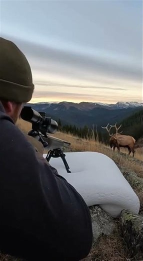 Bipod Sank Into WHAT?!