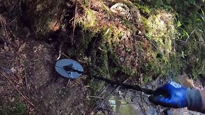 276K views · 5.4K reactions | Metal detecting gold from a from an old forgotten creek! | Tassie Boys Prospecting | Facebook