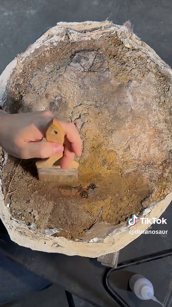 Discovering Plesiobaena: An Ancient Cretaceous Turtle