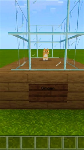 The Minecraft Zoo Edition!
