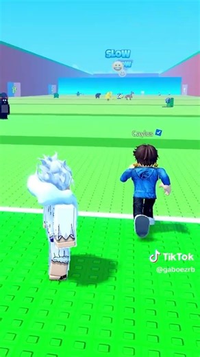 admin vs caylusblok escape tsunami for brainrot