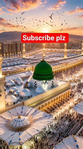 noor wala aya hei #answer #islamicmusic #freefire #love #naatzindagi #funny #funniestvideo
