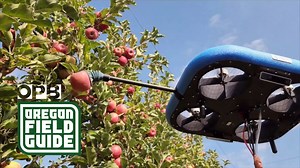 The robots are coming ― to pick Northwest apples