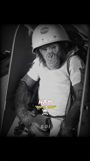 Space Exploration vs Animals 💀🚀 #Shorts #Space #Universe #Astronomy #Earth #Biology