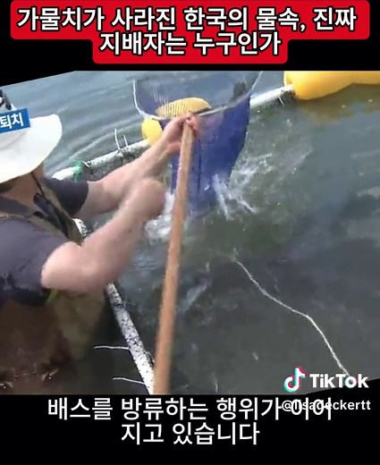 한국의 생태계: 가물치와 외래종의 전쟁