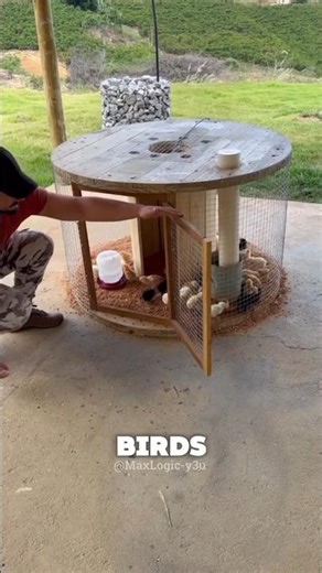 Genius DIY Cable Spool Chicken Coop 🐥