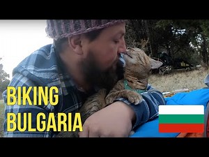 Cats journey into Sofia 😻🚴🏼‍♂️ VLOG#17