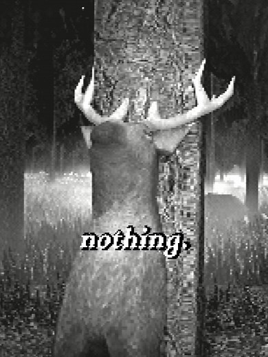 Understanding Sorrow Through the Eyes of a Deer