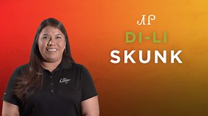 3.2K views · 414 reactions | A critter found throughout in Cherokee Nation that you definitely don’t want to get too close to! Learn the Cherokee word for “skunk” today! 令 | Visit Cherokee Nation | Facebook