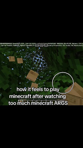 Wifies Always Good in Minecraft ARGS
