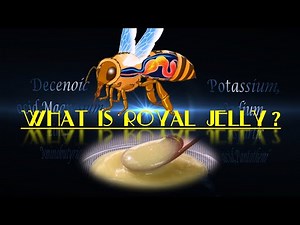 What is royal jelly?