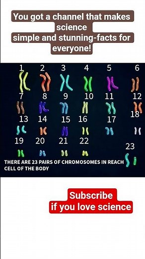 "Human Body Code: 46 Chromosomes Unlocked!”