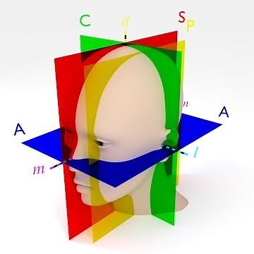 Rotating head with anatomical planes