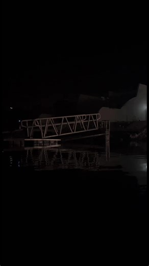 Coping with Loneliness: A Poetic Reflection