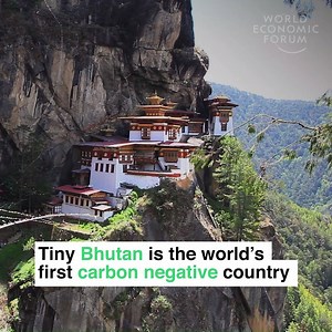 Absorbing more carbon dioxide than it produces. Read more: http://wef.ch/2yhVMOe | World Economic Forum