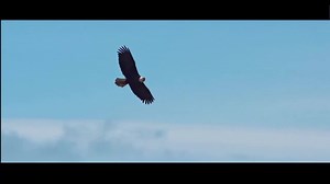 256K views · 608 shares | Our #EngineeringMechanics never fear the cold，the highlands and the rocks. It is still easy to deal with the work environment of the high altitudes. Do you want to own one of the mechanical products? Click: https://bit.ly/2R45RUc to find more mechanics. #Machmall. | XCMG Machmall.com | Facebook