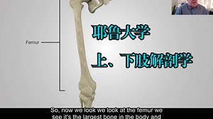 耶鲁大学《上、下肢解剖学|Anatomy of the Upper and Lower Extremities 》deepseek