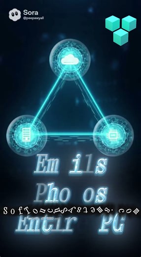 Texas IT Support You Can Trust | Meet SofTouch Systems