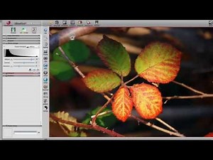SilverFast 8 - L'optimisation de l'image automatique (francais)