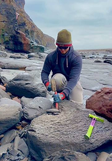 Discovering Jurassic Age Fossils in Shale