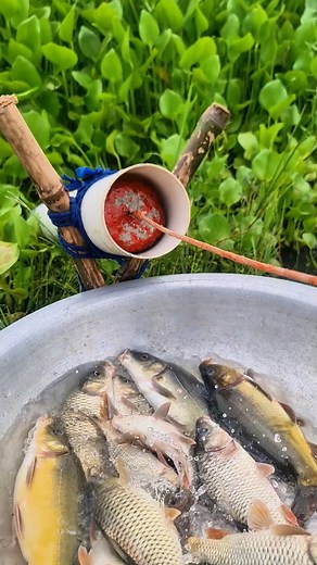 “DIY Fish Trap That Actually Works | Catch Fish With ET