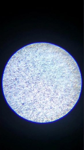 Plastic bag under a microscope