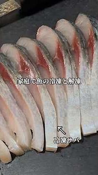 【魚の冷凍保存について】オススメの冷凍や解凍方法教えてくださいね🙋‍♂️#魚 #asmr #鯖#サバ#釣り#sashimi #shorts