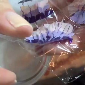 Get this awesome look with Dogtown, The Roxy and Hollywood Hills! By @10digits2polish <3 | Cult Cosmetics