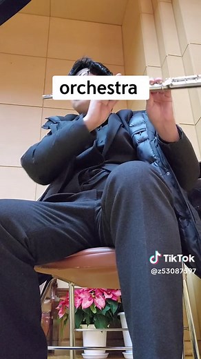 #music#orchestra #flute#music#classic#disney