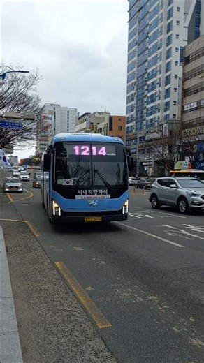 울산 1214번 대우여객 3073호 2023년 12월식 현대자동차 뉴프리미엄 유니버스 엘레강스 F/L CNG 시내직행좌석 일반버스 승차영상 [2026.02.28]