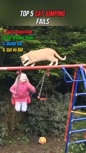 Top 5 Funny Cat Jumping Fails 😹 #top5 #funnycats #cutecats