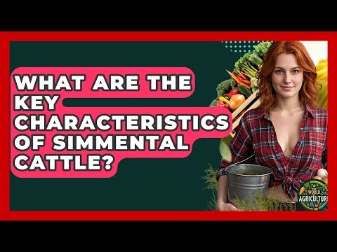 What Are The Key Characteristics Of Simmental Cattle? - The World of Agriculture