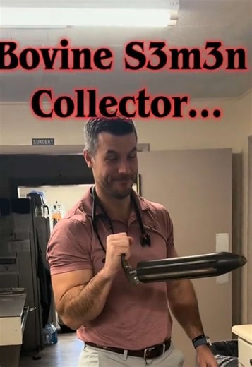 Coolest Items in the Veterinary Clinic Revealed