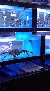 90 reactions | Seafood lovers, this one’s for you!呂 Watch them...