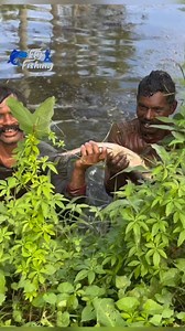 51K views · 9.5K reactions | Baby chetten next catch 3rd #traditional #fishing #reels | Fly fishing | Facebook