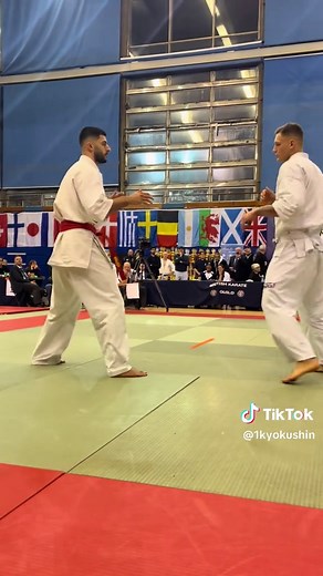 Mastering Karate Techniques: Best Moves to Learn