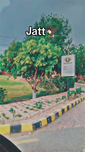 TikTok Account Issues