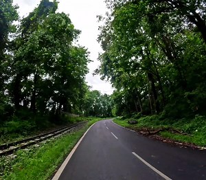 32K views · 1.1K reactions | Morning Rides North Bengal ❤️  Robin P Varughese #indiatravelgram #explore #travel #nature #roadtrip #darjeeling | Robin P Varughese | Facebook