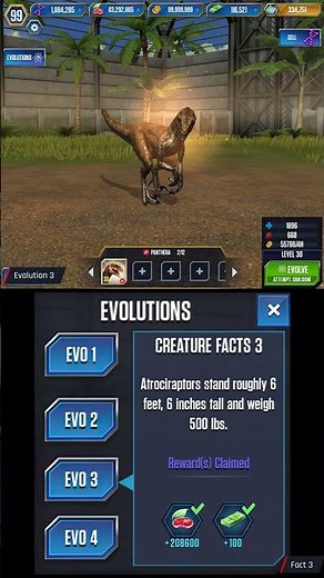 PANTHERA ATROCIRAPTOR ALL EVOLUTION | Jurassic World The Game