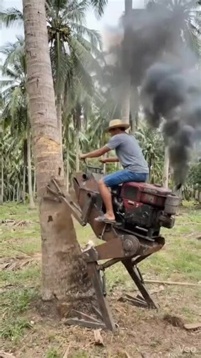 Coconut harvesting frog robot #ai #robot #future #technology #2026 | robot