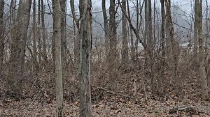 Snow now falling near Brazil For the latest weather information visit our website: https://www.mywabashvalley.com/weather/ | WTWO TV