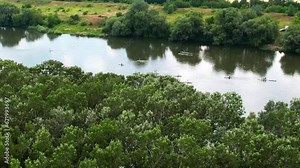 Aerial drone view of multiple people doing standup paddleboarding on the Dniester in Moldova. Lush forest on the both sides of the river Stock Video