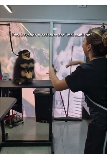 Kkkkkkk #fyp #pet #viral #petshop