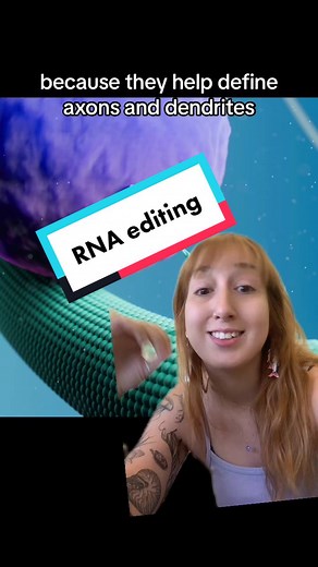 Octopus Overlords: Molecular Biology Explained