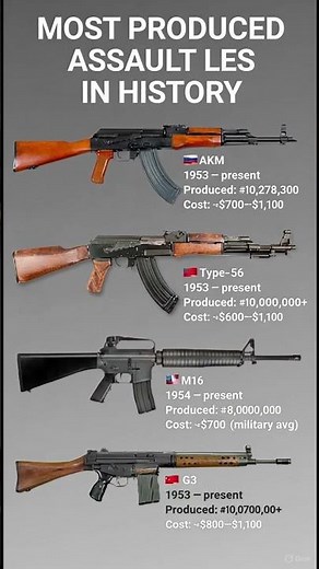 The REAL Difference Between M16 and M4 for Military Use